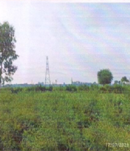 Ms Oriental Textile Industry